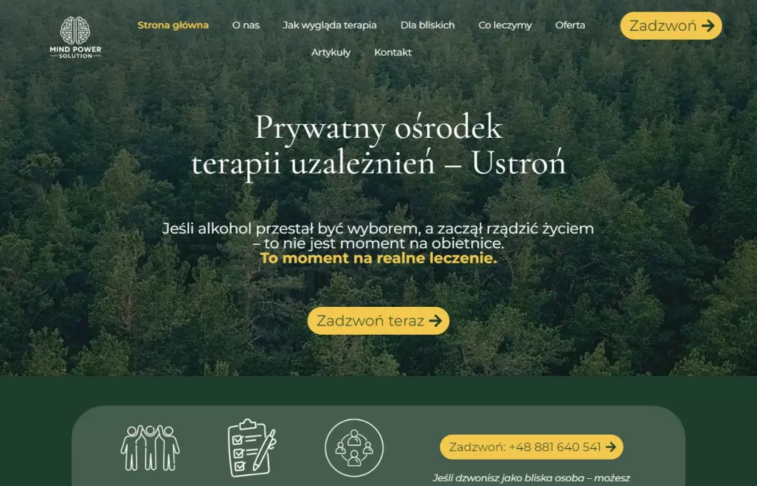 Zrzut ekranu strony