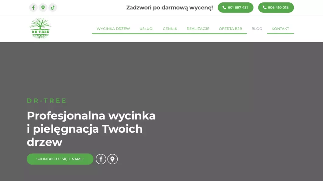 Zrzut ekranu strony